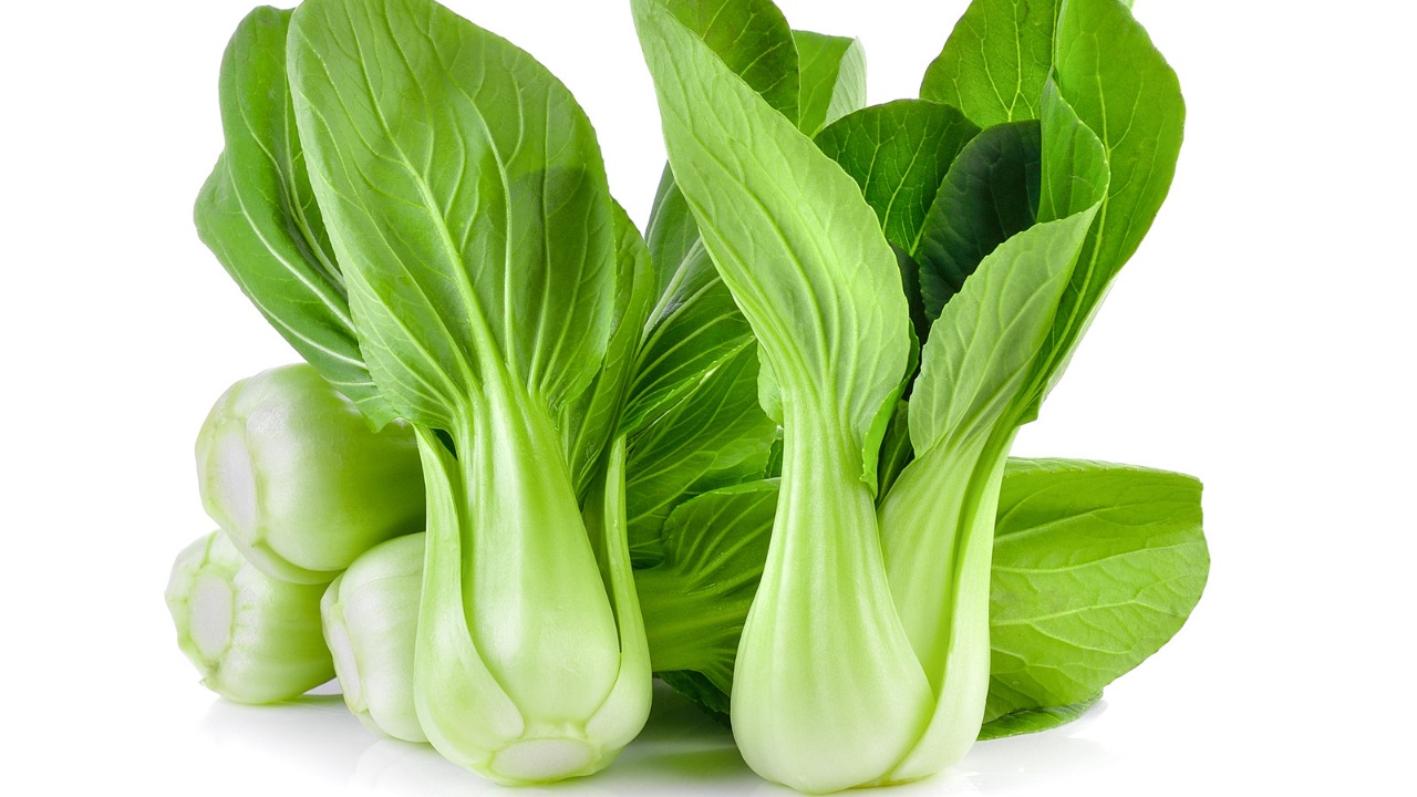 Pak Choi Tasty Green F1 Hybrid 10 Seeds Urban Gardens